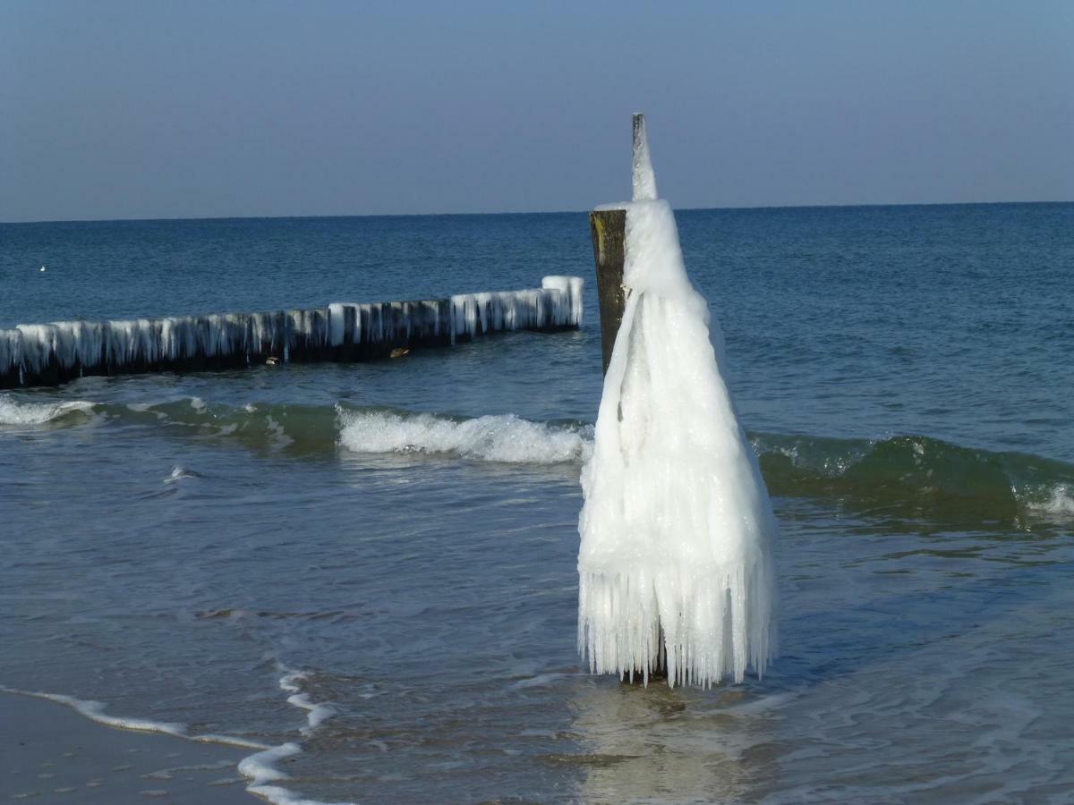 Ostsee Ferienapartments グラール・ミューリッツ エクステリア 写真