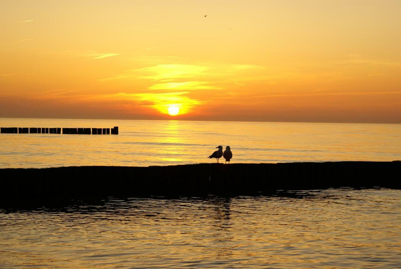 Ostsee Ferienapartments グラール・ミューリッツ エクステリア 写真